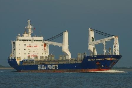 Beluga Family (Photo Maritime Bulletin)